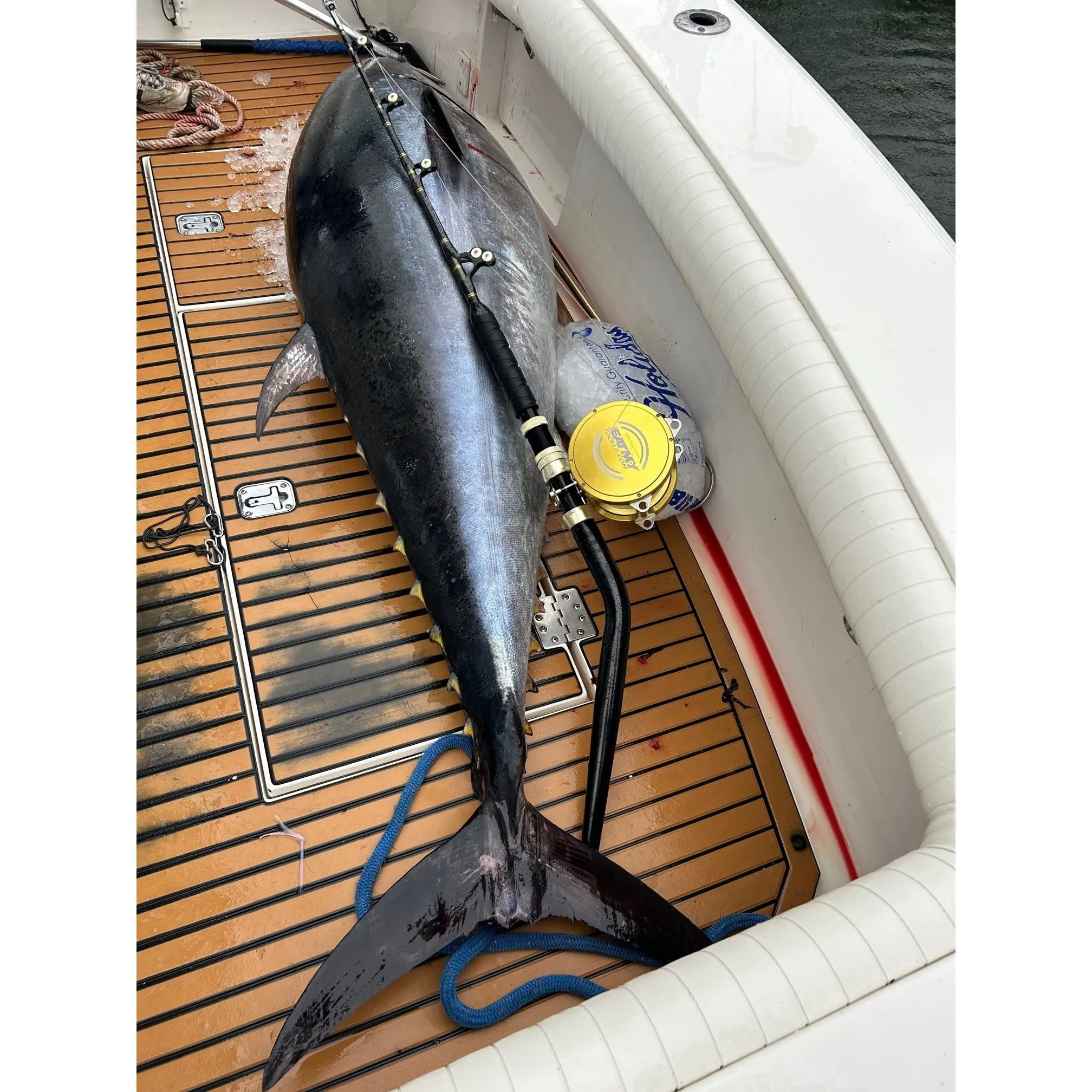 130W 2-Speed Reel on a Bent Butt Tournament Rod