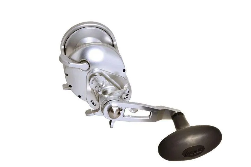 Accurate Tern 2 Star Drag Reels