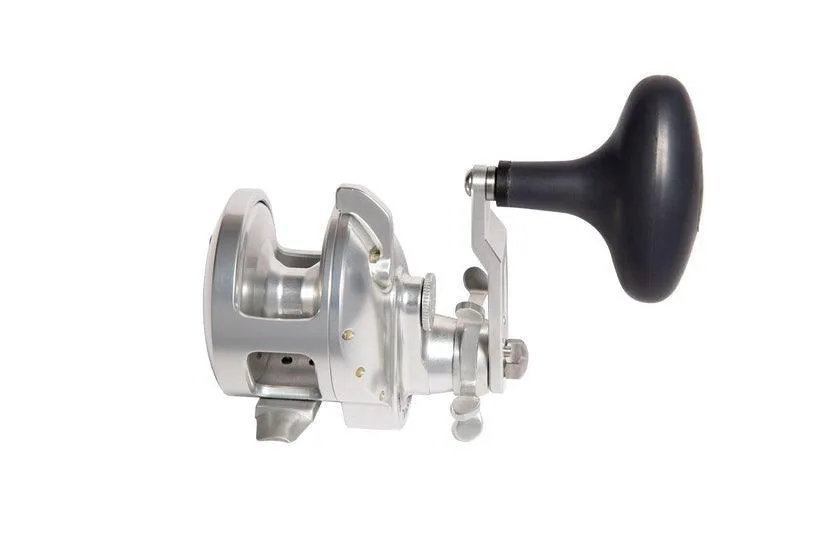 Accurate Tern 2 Star Drag Reels