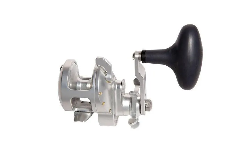 Accurate Tern 2 Star Drag Reels
