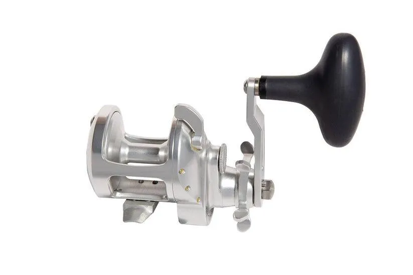 Accurate Tern 2 Star Drag Reels