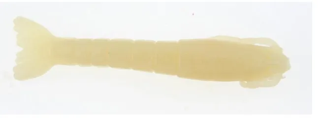 Berkley Gulp! Saltwater Shrimp 6 Count - 3 inch
