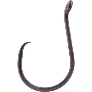 BKK Heavy Circle-SS Hooks Qty 25