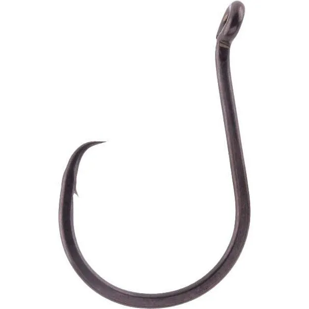 BKK Heavy Circle-SS Hooks Qty 25
