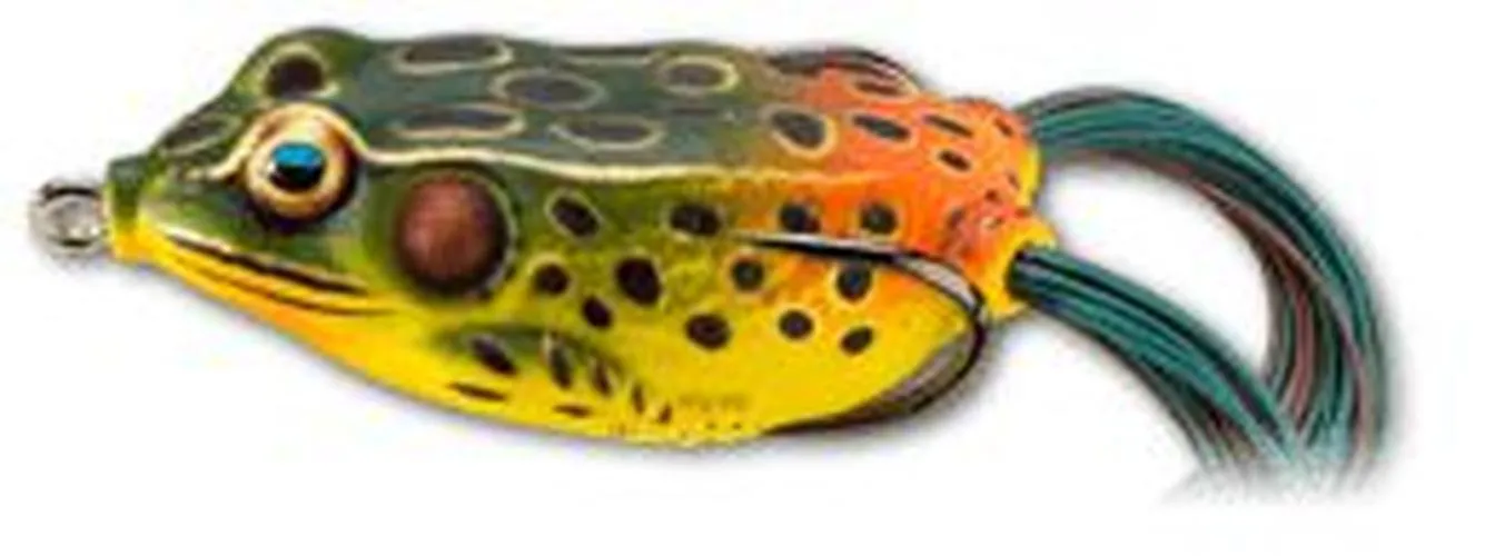 Live Target Hollow Body Frogs