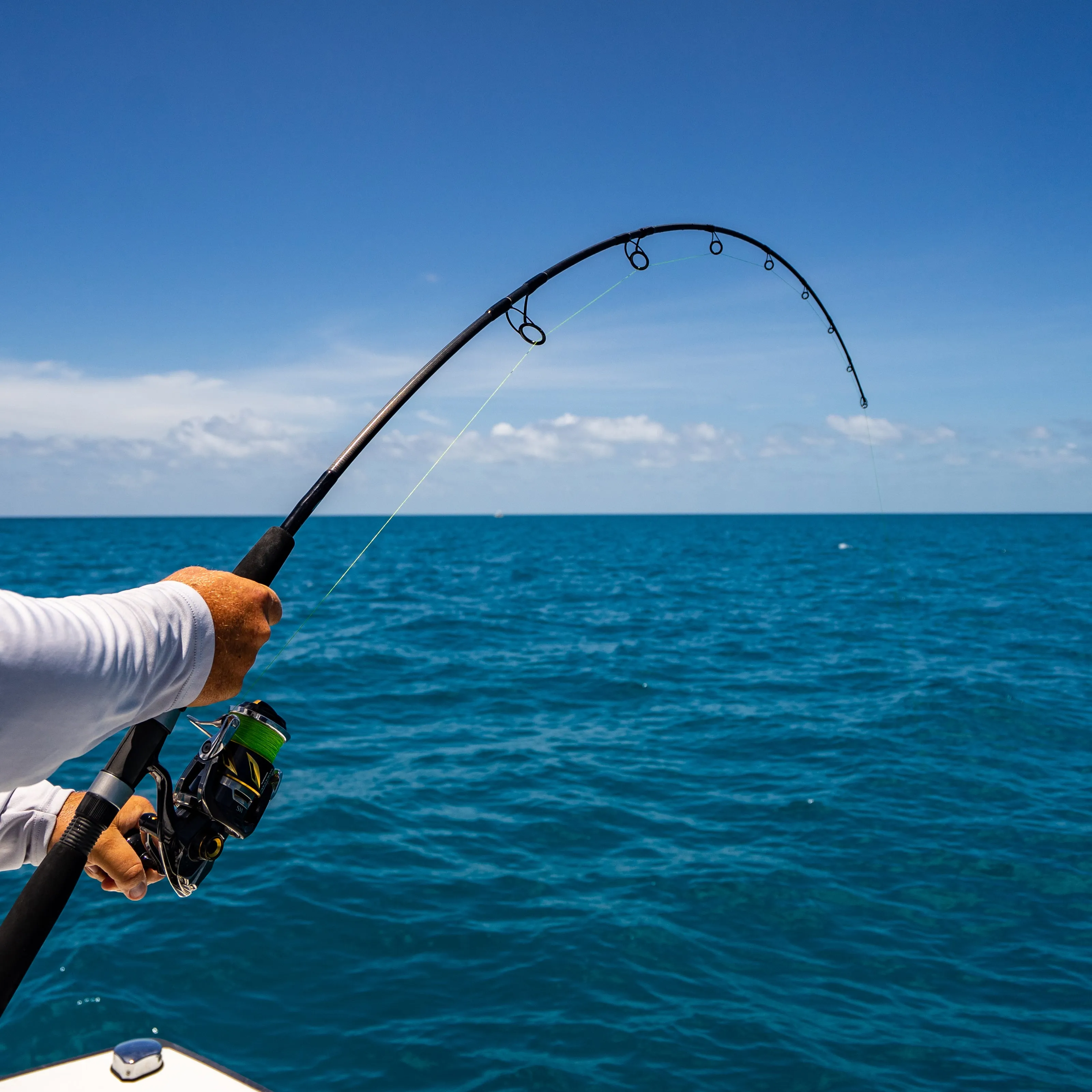Solo Rod